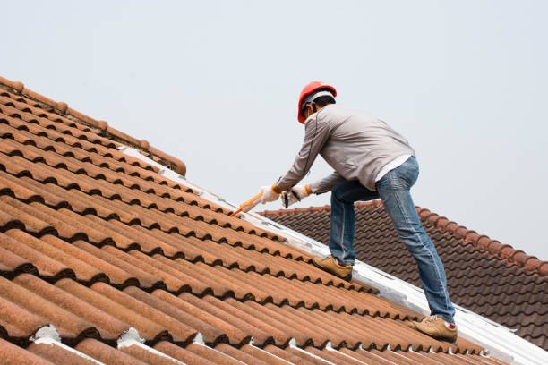 Best Steel Roofing  in Homeacre Lyndora, PA